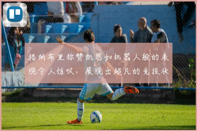 格纳布里称赞凯恩如机器人般的表现令人惊叹，展现出超凡的竞技状态